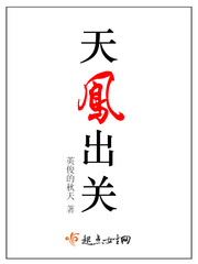 天凤出关